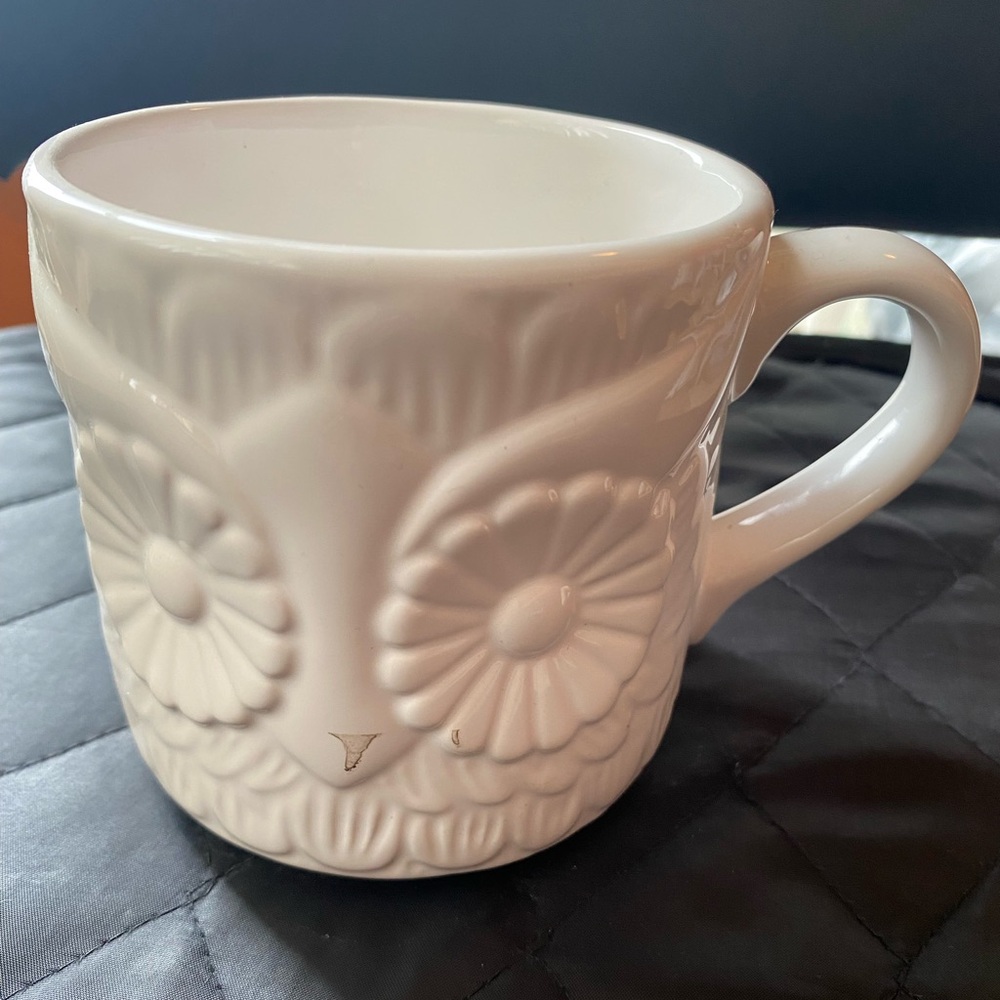 PC owl mug